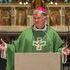 Erntedank 2026: Bischof Manfred Scheuer ruft zu Solidarität auf